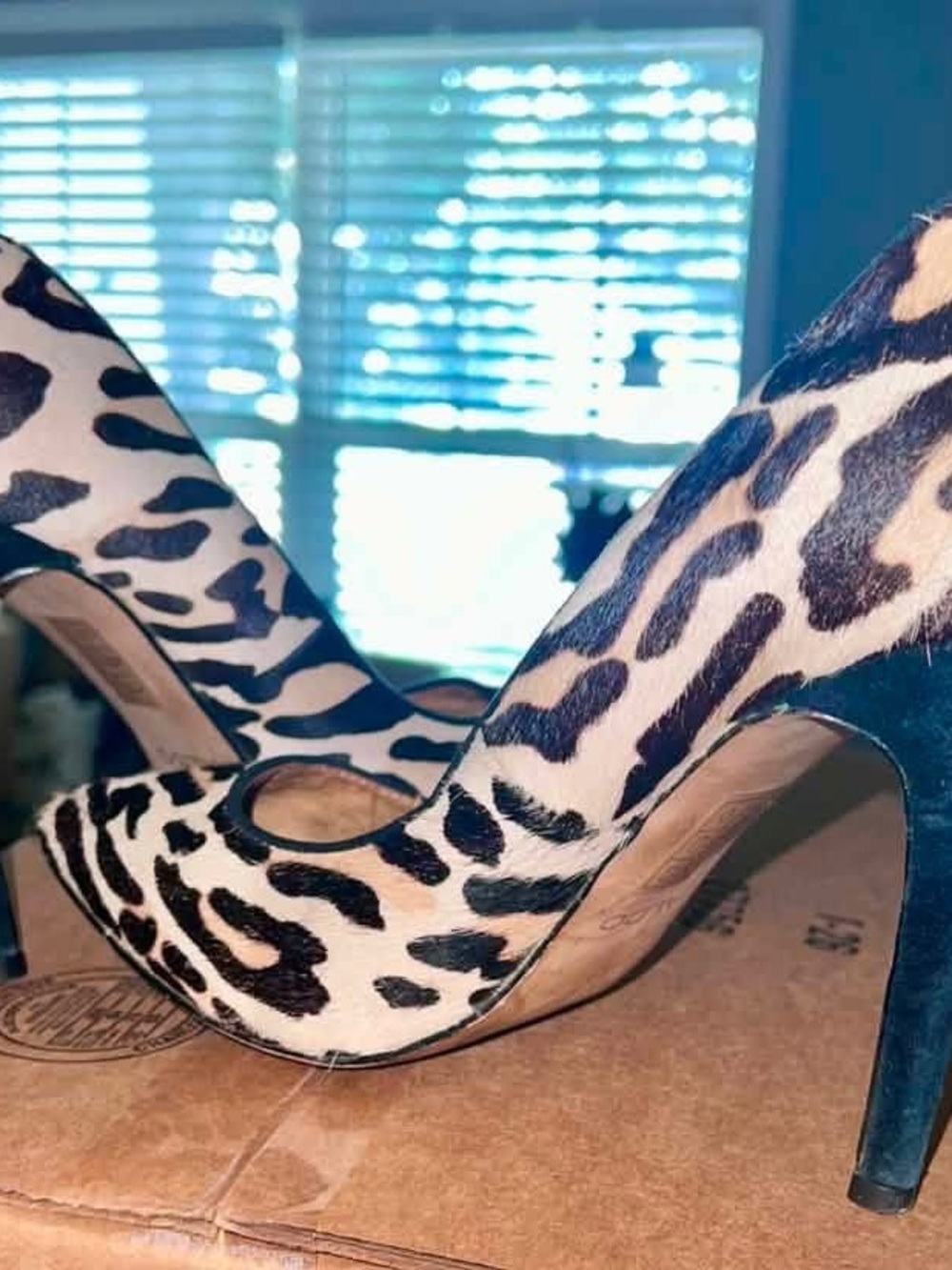 Aldo Leopard Print Pointed Toe Pumps - Black & Cream